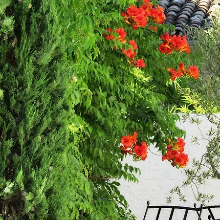 Bed & Breakfast La Bastide De Canaules-et-Argentieres