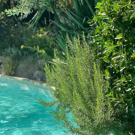 Bed & Breakfast La Bastide De Canaules-et-Argentieres