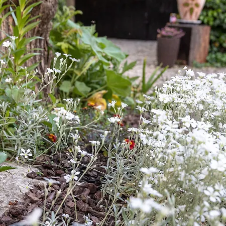 La Bastide De Bed & Breakfast 4*